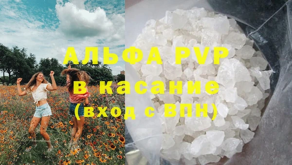 экстази Арсеньев