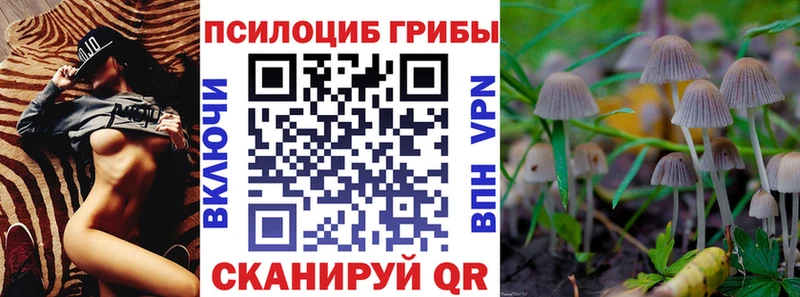 Псилоцибиновые грибы GOLDEN TEACHER  Руза 